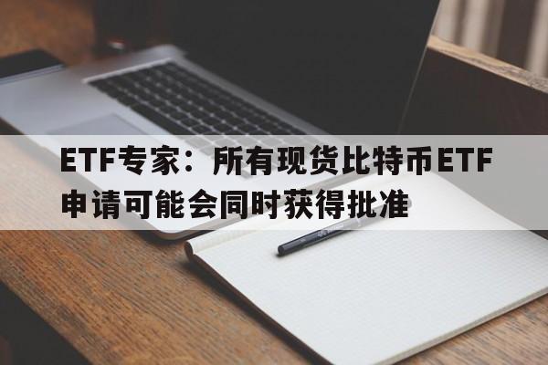 ETF专家：所有现货比特币ETF申请可能会同时获得批准
